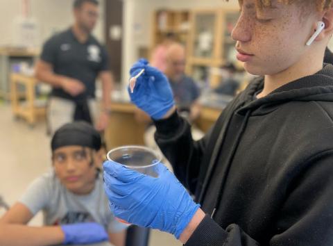 A young student in a laboratory experiment where he is putting samples of fruit into a cup.