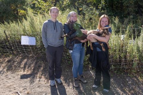 Lindsey Dion, Sophia Milko, and Abbey Majka, three environmental majors. Sophia and Abbey hold goats as part of their senior capstone project, which involves goats eating invasive plant species around South Lot.