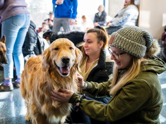 Two females students pet a happy golden retriever dog during a Pet Therapy session