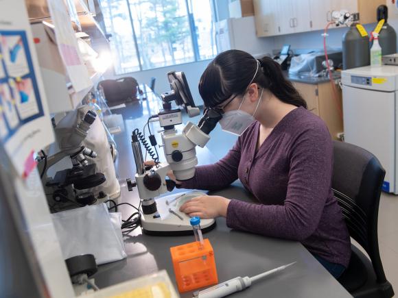 Biology student studying how micro-organisims consume microplastics, and potential ways go prevent them from doing so.