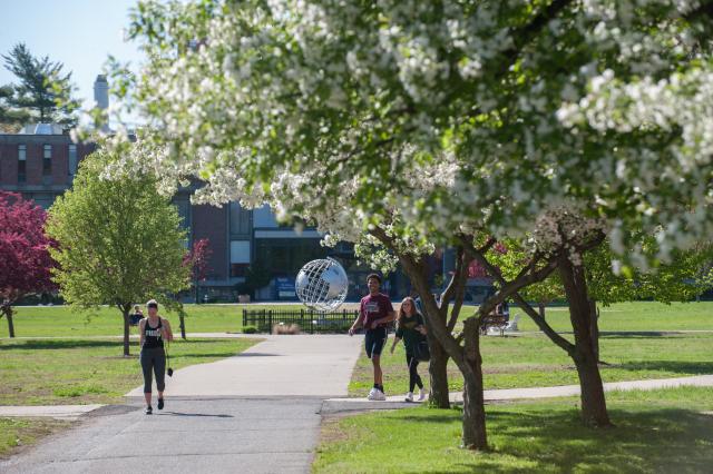 a student walks by blossoming trees outside of Courtney Hall