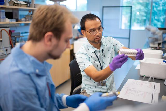 Two biology majors at Westfield State University work in a science lab.