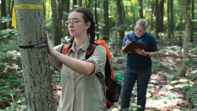 Thumbnail for video: Amber Stearns CURCA Research | Westfield State University