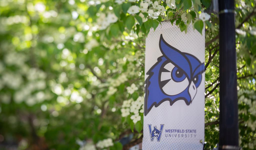 Owl logo flag on a light post with flowering trees behind it.