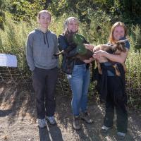 Lindsey Dion, Sophia Milko, and Abbey Majka, three environmental majors. Sophia and Abbey hold goats as part of their senior capstone project, which involves goats eating invasive plant species around South Lot.